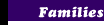 Families Button